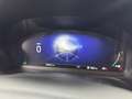 Ford Puma Puma 1.0 ecoboost h ST-Line s Grigio - thumbnail 14