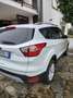 Ford Kuga Kuga II 2019 1.5 ecoboost Plus s Bianco - thumbnail 9