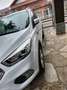 Ford Kuga Kuga II 2019 1.5 ecoboost Plus s Bianco - thumbnail 11