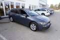 Volkswagen Golf Variant 2,0 TDI DSG *VIRTUAL*SHZ* Grau - thumbnail 6