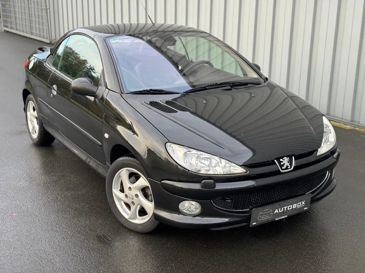 Peugeot 206 CC Platinum*1 HAND*LEDER*43 TKM Schwarz - 1