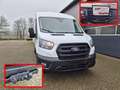 Ford Transit L2H2 2.0 EcoBlue 130PS Trend 3,5t 3-Sitzer AHK Sit Weiß - thumbnail 1