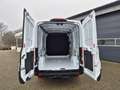 Ford Transit L2H2 2.0 EcoBlue 130PS Trend 3,5t 3-Sitzer AHK Sit Weiß - thumbnail 10