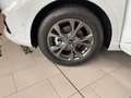 Ford Kuga ST-Line LED+Allwetter+Kamera+Winterpaket Blanc - thumbnail 14