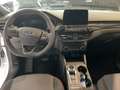 Ford Kuga ST-Line LED+Allwetter+Kamera+Winterpaket Blanc - thumbnail 11