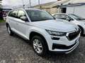Skoda Kodiaq 2.0 tdi evo Executive dsg Virtual Cockpit Bianco - thumbnail 3