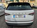 Skoda Kodiaq 2.0 tdi evo Executive dsg Virtual Cockpit Bianco - thumbnail 6
