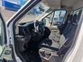 Ford Transit 310L L3H2 TD Trend FWD - Garantie - Beschikbaar Blanc - thumbnail 5