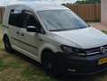 Volkswagen Caddy Caddy 2.0 TDI L1H1 BM Com Wit - thumbnail 3