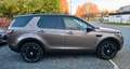 Land Rover Discovery Sport 4X4//PANORAMA//BI-XENON// Marrón - thumbnail 11