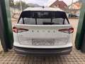 Skoda Enyaq 80 Lounge Weiß - thumbnail 5