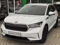 Skoda Enyaq 80 Lounge Weiß - thumbnail 4