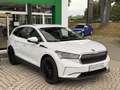 Skoda Enyaq 80 Lounge Weiß - thumbnail 2