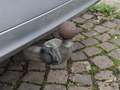 Mercedes-Benz E 200 CGI BlueEfficiency AHK/SHZ/wenig KM Silber - thumbnail 19