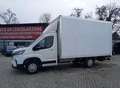 Maxus Deliver 9 Maxus Deliver 9 L3 rwd R.Sing Furgonat+Sponda Weiß - thumbnail 5