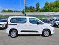 Fiat Doblo Opel Combo 5P Autocarro 1.5D 100 CV Plus N1 Bianco - thumbnail 4