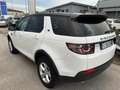 Land Rover Discovery Sport 2.0 td4 SE awd 150cv Blanc - thumbnail 7