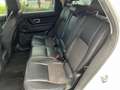 Land Rover Discovery Sport 2.0 td4 SE awd 150cv Blanc - thumbnail 12