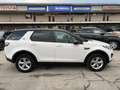 Land Rover Discovery Sport 2.0 td4 SE awd 150cv Blanc - thumbnail 4