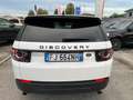 Land Rover Discovery Sport 2.0 td4 SE awd 150cv Blanc - thumbnail 6