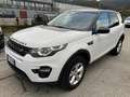 Land Rover Discovery Sport 2.0 td4 SE awd 150cv Blanc - thumbnail 1