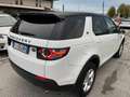 Land Rover Discovery Sport 2.0 td4 SE awd 150cv Blanc - thumbnail 5