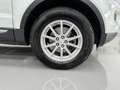 Land Rover Range Rover Evoque 5p 2.2 td4 Dynamic 150cv auto Weiß - thumbnail 6