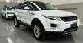 Land Rover Range Rover Evoque 5p 2.2 td4 Dynamic 150cv auto bijela - thumbnail 1