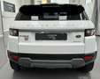 Land Rover Range Rover Evoque 5p 2.2 td4 Dynamic 150cv auto Beyaz - thumbnail 4