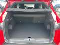 Alfa Romeo Junior Ibrida SPECIALE+SCHIEBEDACH+NAVI+ELSITZE+ELHECK+ Rouge - thumbnail 7