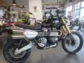 Triumph Scrambler Grau - thumbnail 2