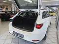 SEAT Leon Style Kamera,SHZ,Climatr. Білий - thumbnail 3