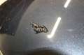 BMW 116 i Lim. *AHK*SHZ*KLIMA*SERVO*ABS*ESP* Schwarz - thumbnail 18