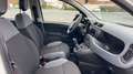 Fiat Panda 1.2 69 Easy Blanc - thumbnail 25