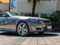 Mercedes-Benz SLK 55 AMG /MagicSky/Airscarf/Nappa-Leder Grau - thumbnail 6