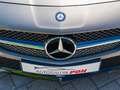 Mercedes-Benz SLK 55 AMG /MagicSky/Airscarf/Nappa-Leder Grau - thumbnail 19