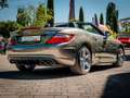 Mercedes-Benz SLK 55 AMG /MagicSky/Airscarf/Nappa-Leder Grau - thumbnail 4