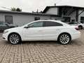 Volkswagen CC 2.0 TDI 184 PS DSG VOLL-VOLL- Weiß - thumbnail 3