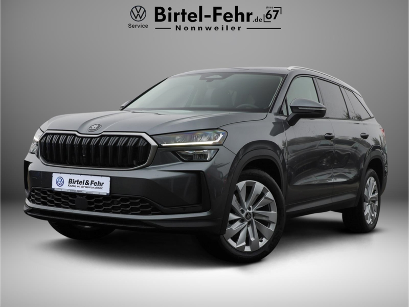 Skoda Kodiaq Selection 2.0 TDI 4x4 DSG LED AHK Kamera Navi
