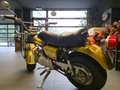 Suzuki RV 90 SUPERBE & PERSONNALISEE Goud - thumbnail 4