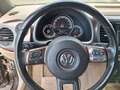 Volkswagen Beetle Beetle Cabriolet 1.6TDi 105 CUIR CH/GPS/APS x2/BT Brun - thumbnail 10