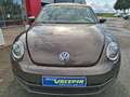 Volkswagen Beetle Beetle Cabriolet 1.6TDi 105 CUIR CH/GPS/APS x2/BT Brun - thumbnail 2