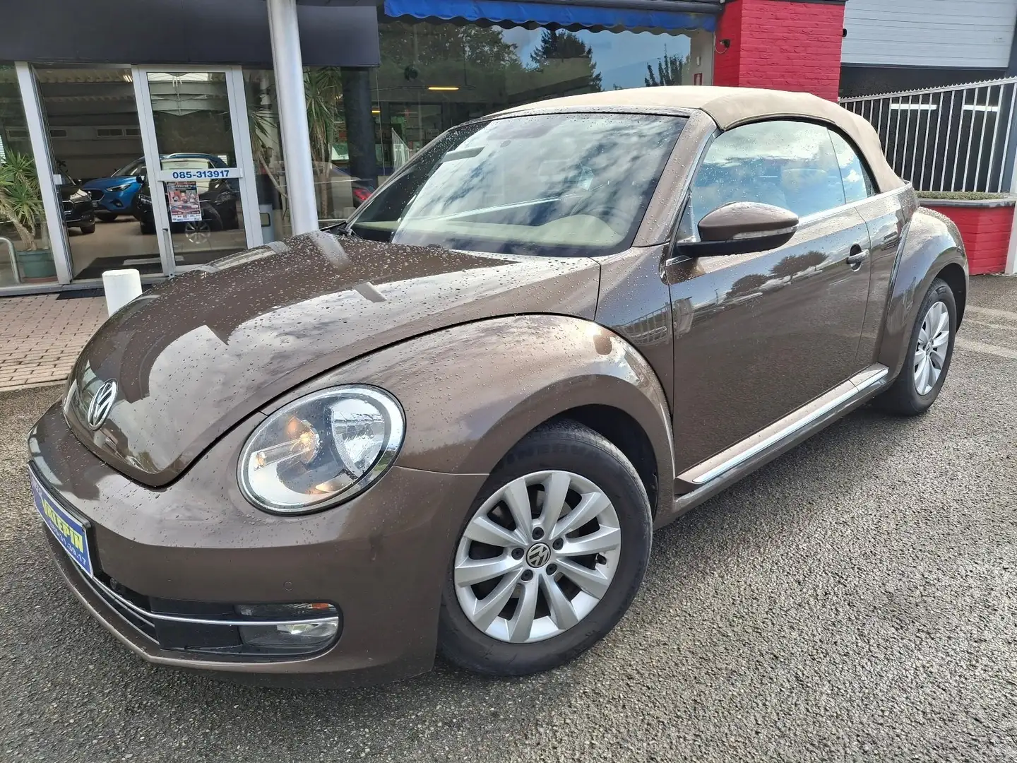 Volkswagen Beetle Beetle Cabriolet 1.6TDi 105 CUIR CH/GPS/APS x2/BT Brun - 1