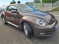 Volkswagen Beetle Beetle Cabriolet 1.6TDi 105 CUIR CH/GPS/APS x2/BT Brun - thumbnail 3