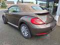 Volkswagen Beetle Beetle Cabriolet 1.6TDi 105 CUIR CH/GPS/APS x2/BT Brun - thumbnail 4