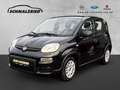 Fiat Panda Base 1.0 Mild Hybrid DAB Klima Freisprech BT el.SP Schwarz - thumbnail 1