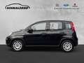 Fiat Panda Base 1.0 Mild Hybrid DAB Klima Freisprech BT el.SP Schwarz - thumbnail 2