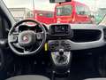 Fiat Panda Base 1.0 Mild Hybrid DAB Klima Freisprech BT el.SP Schwarz - thumbnail 11