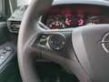 Opel Combo E Cargo Edition Apple CarPlay Android Auto Musikst Grau - thumbnail 11