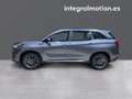 DFSK Luxury Gris - thumbnail 24